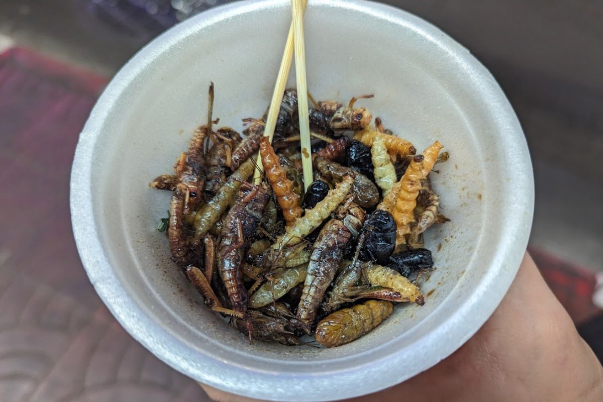 Mieszanka smażonych robaków za 50 bahtów, czyli ok. 5,70 zł