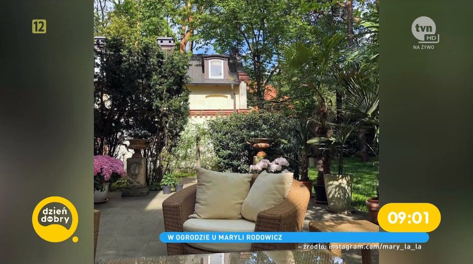 Maryla Rodowicz duma o koronawirusie w "Dzień Dobry TVN"