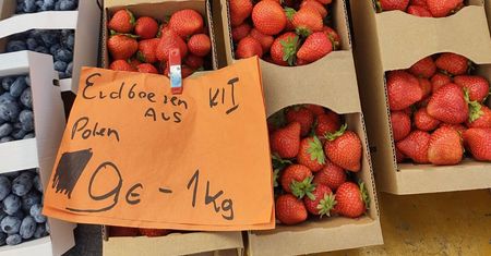 Zdjęcie z Niemiec. Za tyle sprzedają polskie truskawki