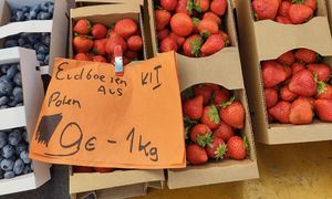 Zdjęcie z Niemiec. Za tyle sprzedają polskie truskawki