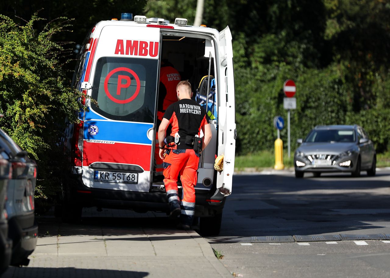 W czasie grzybobrania pogryzły go psy. Mężczyzna nie żyje. Jest śledztwo