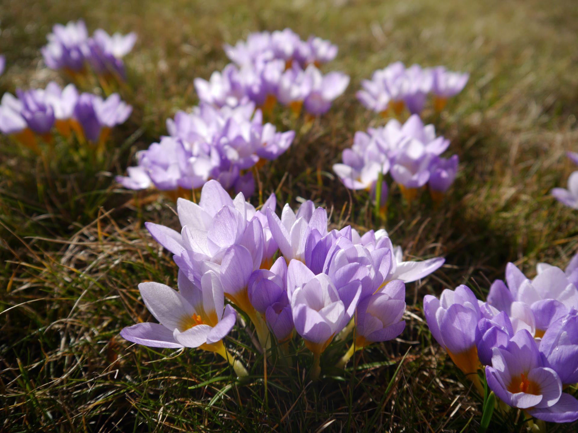 Nowy bezlusterkowiec do 2000 zł - na które aparaty warto zwrócić uwagę? 38