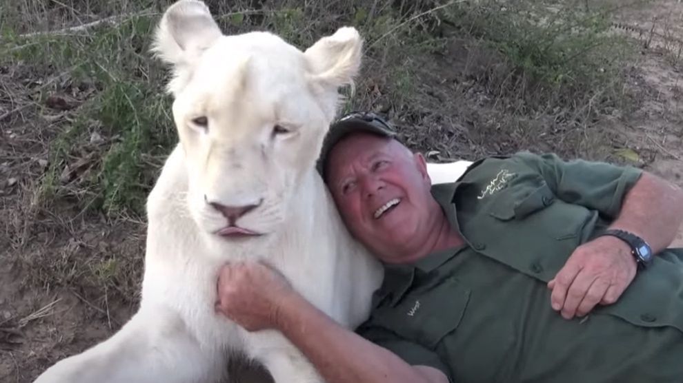 Lwice zabiły swojego opiekuna