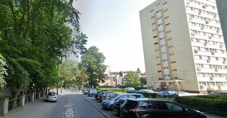 Niepokój w Świnoujściu. Biją na alarm. "Ostatnio celem stała się młoda alka"