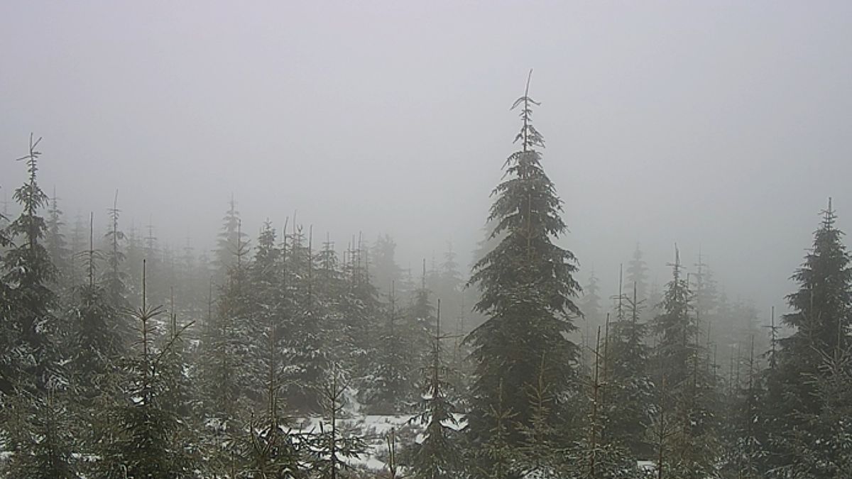 Trudne warunki w Beskidach