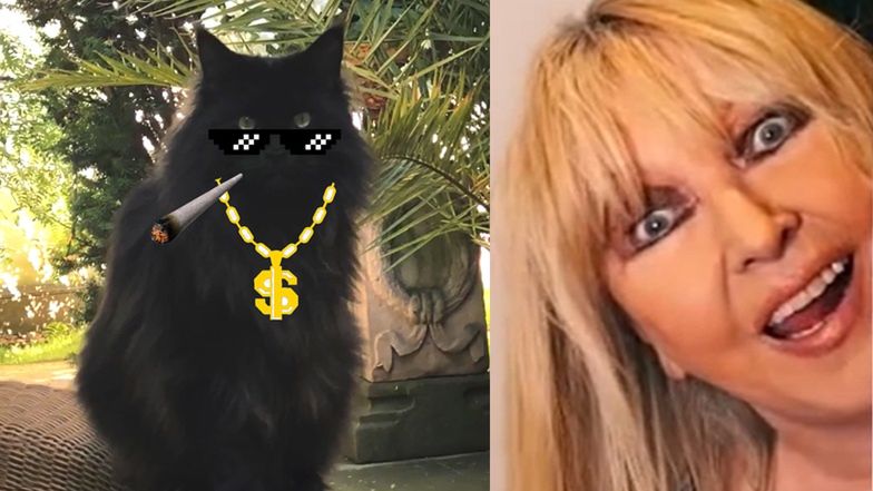 Kot Maryli Rodowicz "pozdrawia" wulgarnym przekazem