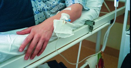 Dwóch chłopców z Afganistanu zatruło się grzybami pod Warszawą. Jeden nie żyje?