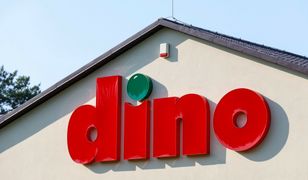 Pierwsza oferta pracy w Dino Oil. Oto kogo szuka polska sieć