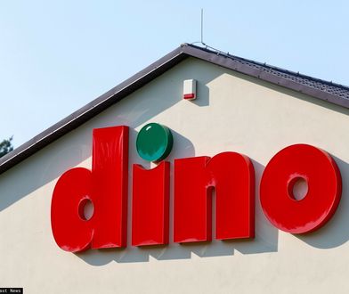 Pierwsza oferta pracy w Dino Oil. Oto kogo szuka polska sieć