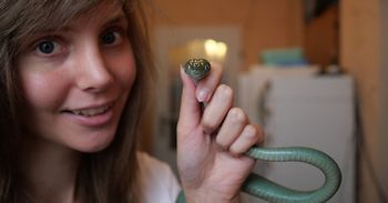 Łódź: Trzyma w swoim domu ponad 80 węży. Karolina opowiada, jak wygląda domowa hodowla gadów?