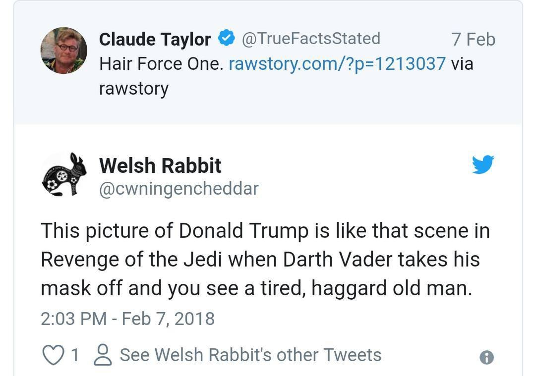 Twitter, Donald Trump włosy