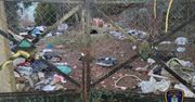 Poznań: Interwencja strażników rejonowych. Zaśmiecone tereny na Wildze uprzątnięte