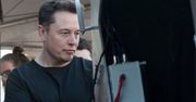 Elon Musk odpowiedział mistrzowi UFC. "Przepraszam za opóźnienie"