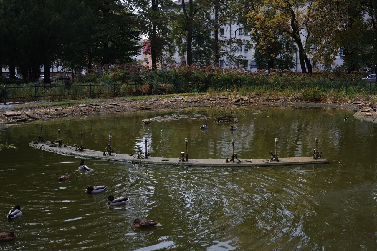 Rzeszów: Czy staw przy ul. Dąbrowskiego popada w ruinę?