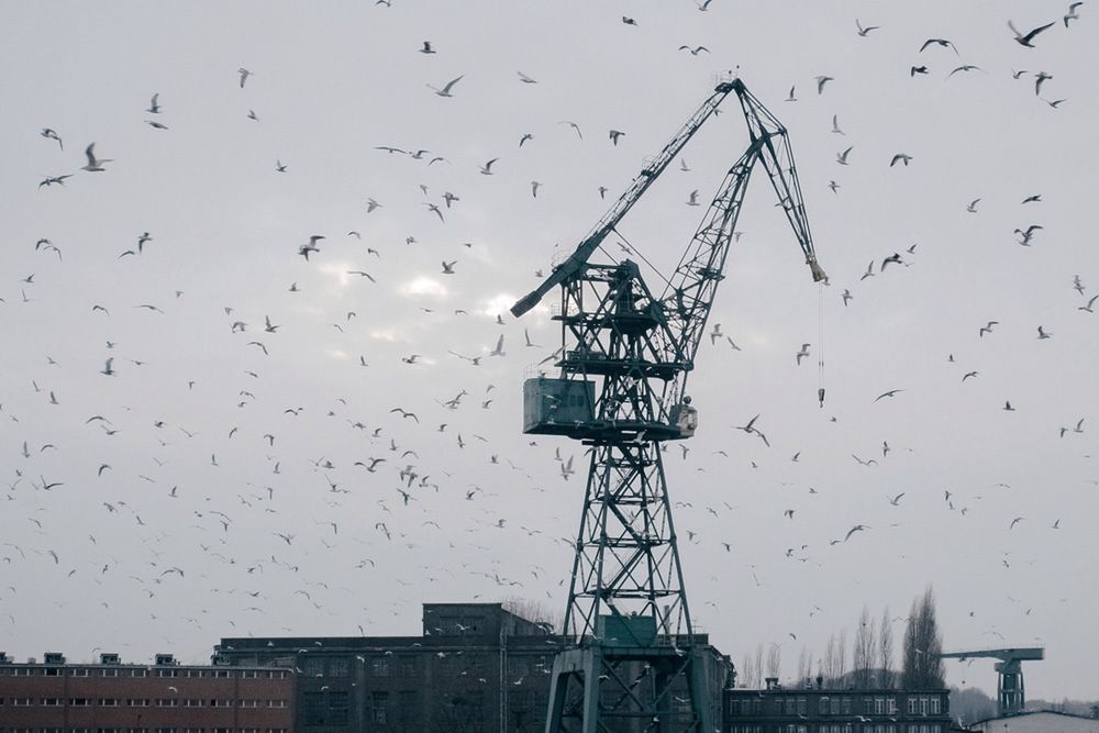 Michał Szlaga: „Używam fotografii jako narzędzia interwencji” [wywiad] 6