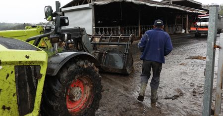 Polscy rolnicy są załamani. "Takiego kryzysu nie było od lat"
