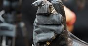 Zoo Wrocław. Na świat przyszły jadowite jaszczurki. Są zagrożone wyginięciem