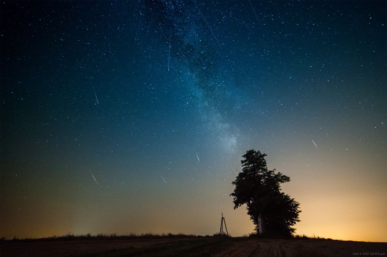 Deszcz Perseidów. Multiekspozycja (D700, Falcon 14mm, F/2.8, 25s, iso 2000).