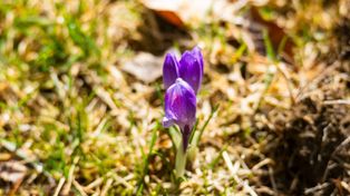 Górzyniec: Rezerwat przyrody, którego nie znajdziesz na mapie Google