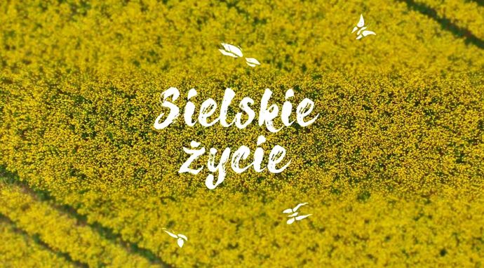 Sielskie życie