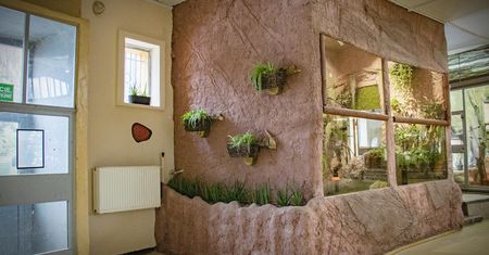 Chorzów. Żółw sępi poczuje się prawie jak na wolności. Dostał nowe terrarium