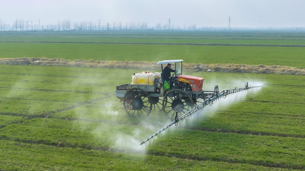 SUQIAN, CHINA - JANUARY 29: Aerial view of an agricultural machine spraying pesticides and fertilizer in a wheat filed to ensure high yields on January 29, 2024 in Suqian, Jiangsu Province of China. (Photo by VCG/VCG via Getty Images)