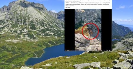 "Nietypowe zjawisko" w Tatrach. Turysta nie wierzył własnym oczom