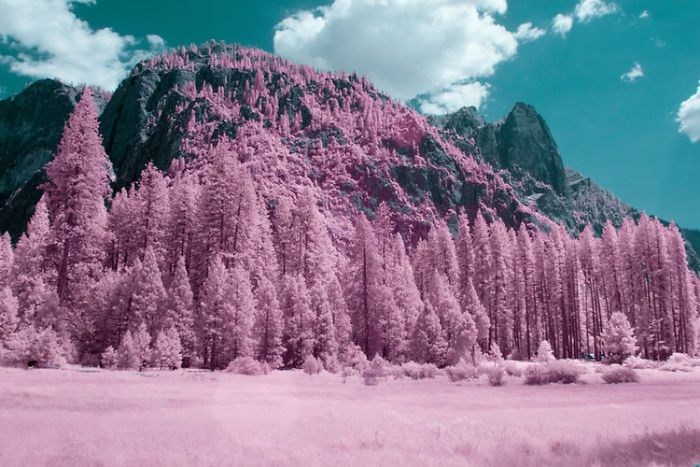 Park narodowy Yosemite wygląda w podczerwieni jak cukierkowa kraina bajek 4