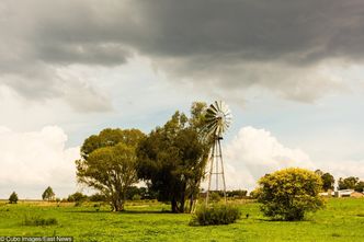 RPA ma problem z ziemią. Zuma chce zabrać ją białym farmerom