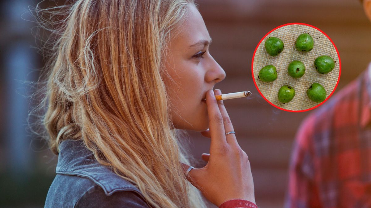 Minikiwi w walce z rakiem?