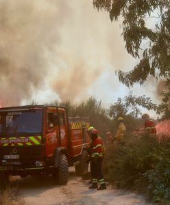 Pożary w Portugalii. Ewakuacje i ogromne straty