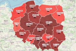 Koronawirus w Polsce. Liczba przypadków przekroczyła 400 tysięcy [Mapa zakażeń]