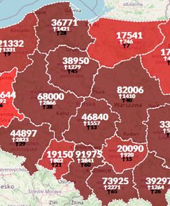 Koronawirus w Polsce. 24 051 nowych przypadków. Ponad 400 zgonów [Aktualna mapa zakażeń]