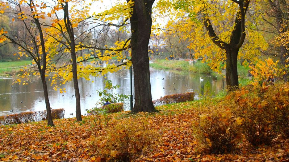 Nad Polskę napływać będzie cieplejsze morskie powietrze, przynosząc początkowo zachmurzenia i lokalne mgły, a następnie wyraźne ocieplenie z temperaturami sięgającymi w czwartek lokalnie do 17 st.