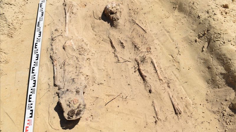Archeolodzy trafili na groby podczas budowy S19.