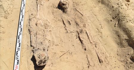 Niezwykłe odkrycie na budowie drogi ekspresowej. Znaleziono 115 grobów szkieletowych