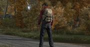 [BLOG] Wreszcie nadeszło, DayZ standalone! Ale... jako wczesna ALPHA