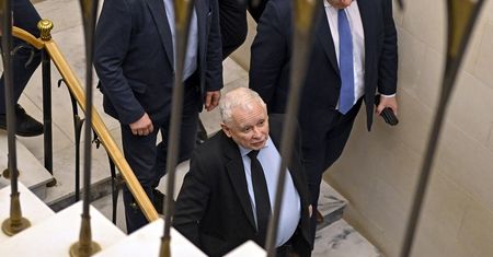 Prof. Zimmermann komentuje zachowanie Kaczyńskiego: Haniebne