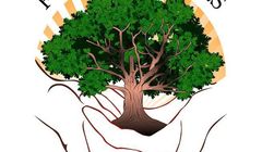 Telewizja Puls tworzy Fundację “Pod Dębem”