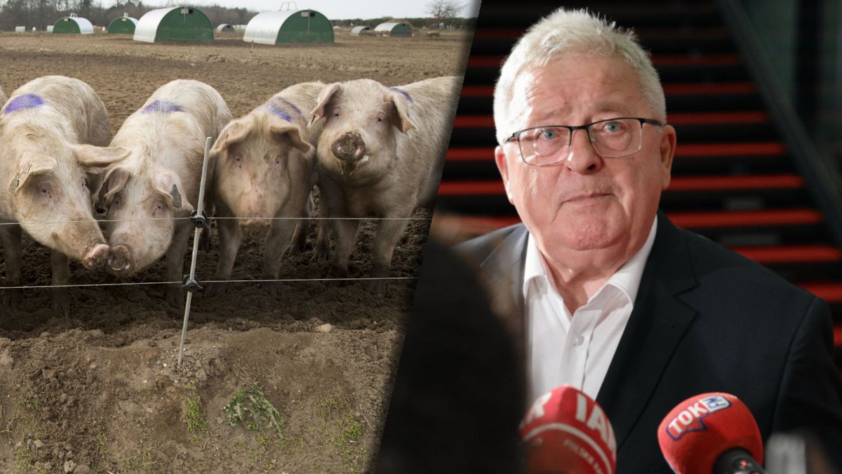 Minister Czesław Siekierski zapowiada zmiany w prawie