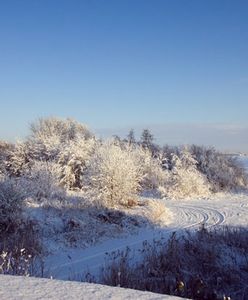 Prognoza pogody na 15 i 16 marca