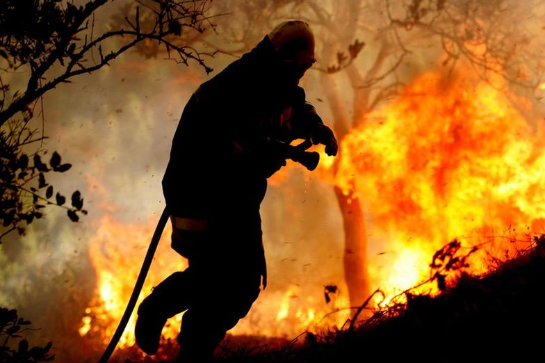 Pożary pustoszą południe Europy. Podpalenia?