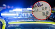 Miał przy sobie narkotyki i dużo gotówki. 14-latek wpadł