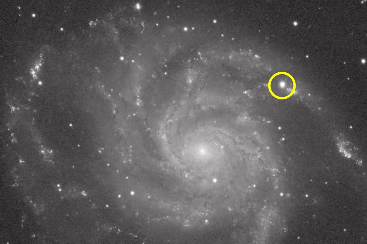 Supernowa SN 2023ixf