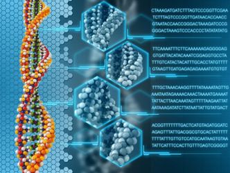 Inno-Gene obejmie udziały w amerykańskiej spółce