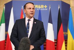 Sikorski o "odpowiedzi na wrogi akt". Wytłumaczył powody decyzji ws. Rosji