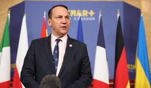 Sikorski o "odpowiedzi na wrogi akt". Wytłumaczył powody decyzji ws. Rosji