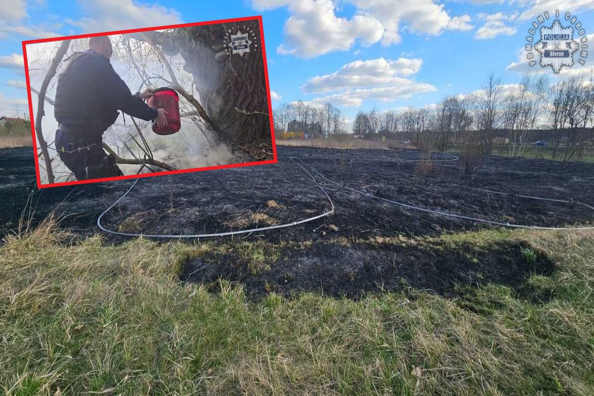 Nastolatki wywołały pożar traw w Bieruniu