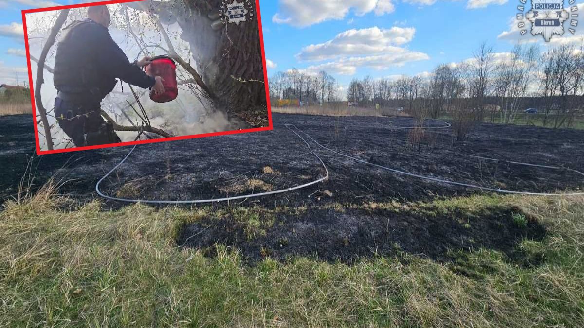Nastolatki wywołały pożar traw w Bieruniu