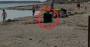 Polka poleciała do Grecji. Taki widok na plaży. Aż nagrała